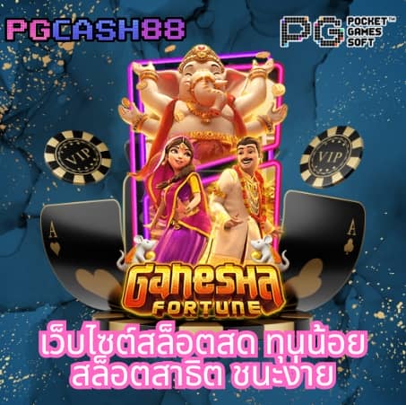 วันนี้รวยcat888